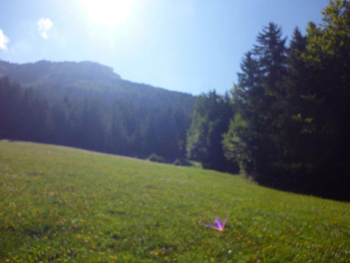 Le Chalet De La Conversaria Bed and Breakfast Villard-de-Lans Exteriör bild